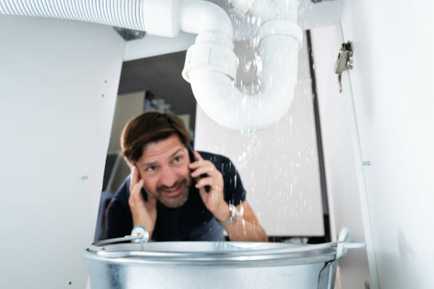 Best Clogged Drain Plumber  in Benson, MN